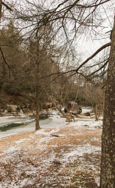 2022年12月西弗吉尼亚州冰雪白色的圣诞场景图片下载