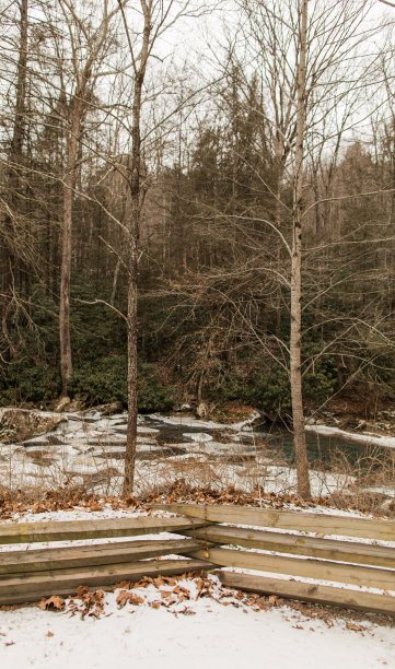 2022年12月西弗吉尼亚州冰雪白色的圣诞场景图片下载