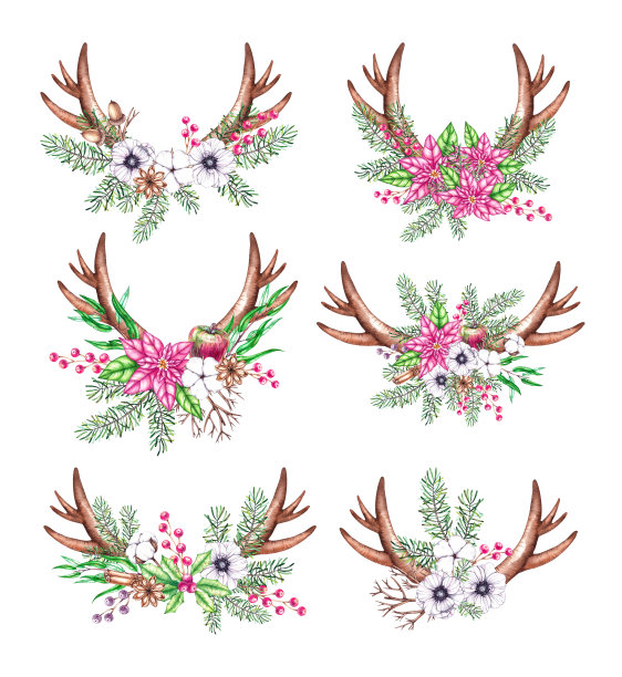 水彩画圣诞角与针和花在白色的背景图片下载