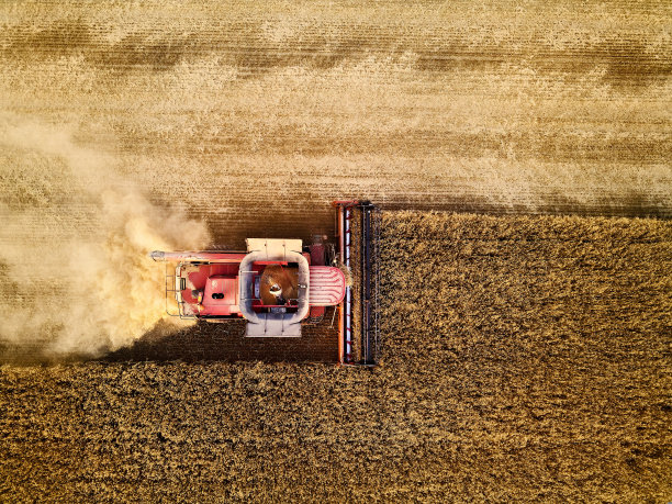 日落时分，红色收割机在麦田里工作的无人机照片。联合收割机驾驶员在农田中切割作物的俯视图。有机农业。农业主题，收获季节。图片下载