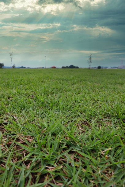 清新的营地形象与草图片下载