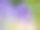 薰衣草花和绿色植物图片下载