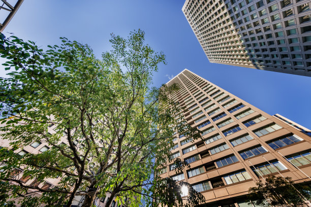 阳光明媚的东京建筑图片下载