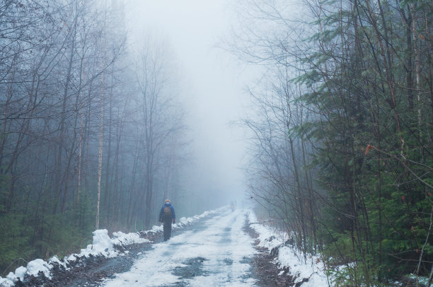 雾中的森林道路图片下载