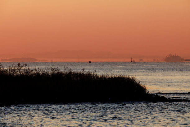 多摩河上的黎明图片下载