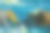 海洋油画。抽象的绿松石海景。图片下载
