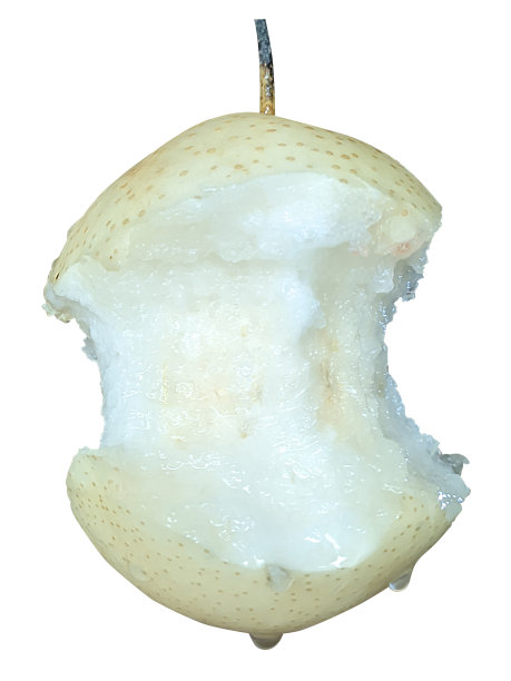 被咬过的新鲜梨和仍多汁的水果图片下载