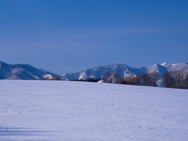 大地被雪覆盖图片下载