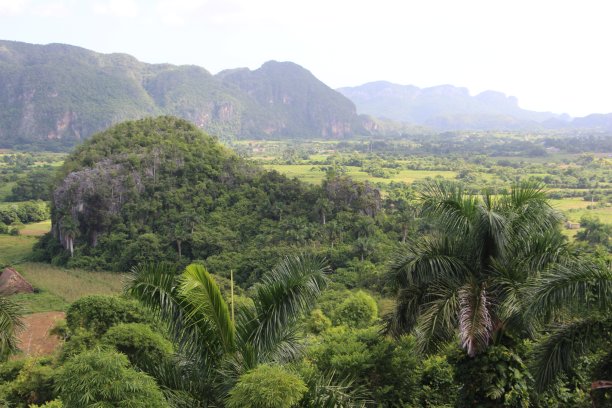 古巴-维尼亚莱斯山谷-景观图片下载
