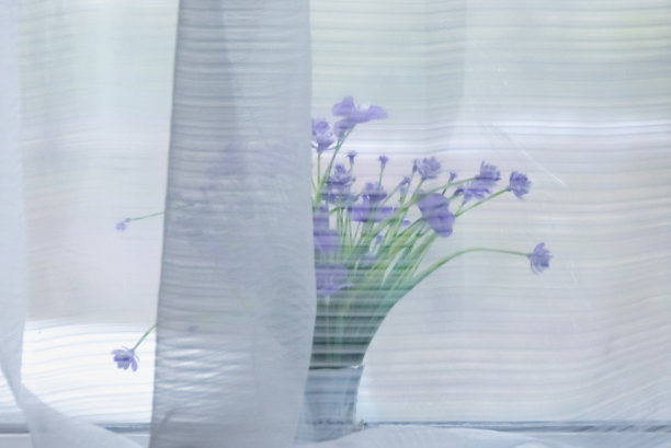 精致的野花花束图片下载