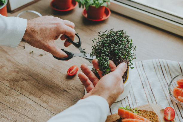 男子切萝卜做三明治的小菜特写图片下载