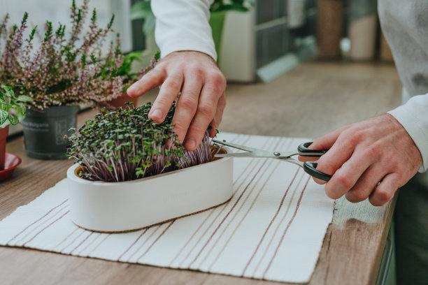男人在家里切萝卜的特写镜头图片下载