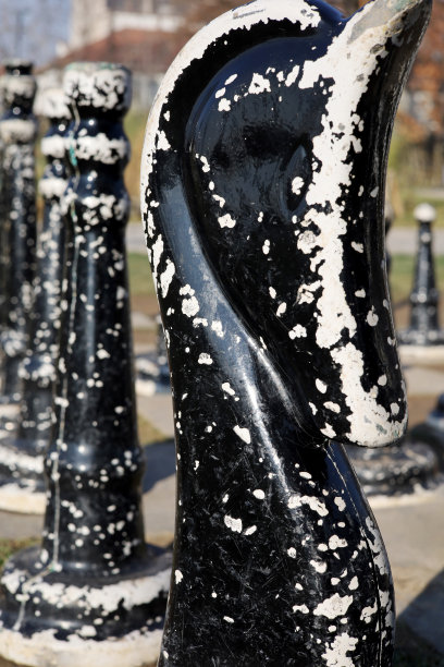 公园里又大又黑又白的棋子图片下载