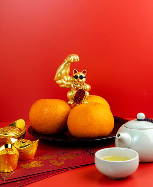 中国年快乐，可爱独特的金猫装饰，每个元素上都有中文句子，意味着好运，好运，红色背景上的桔子。图片下载