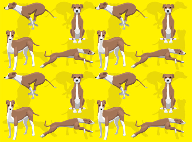 狗意大利灰狗pose可爱的人物无缝壁纸背景图片下载