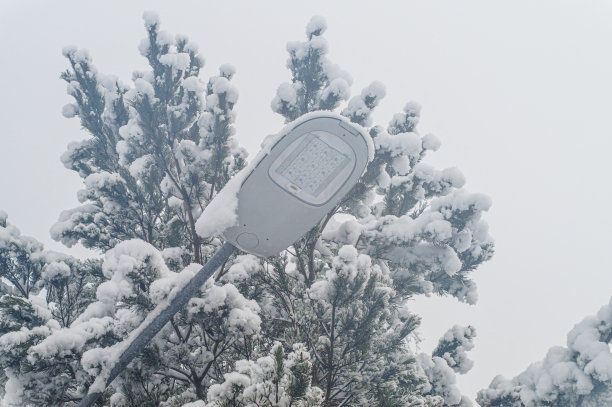 雪花覆盖的路灯对着天空的低角度视图图片下载