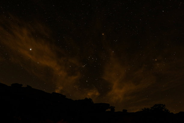 夜晚的约书亚树图片下载