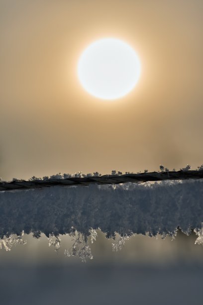 冬日夕阳下的冰雪覆盖的电围栏图片下载