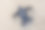 高视角婴儿皮革背龟图片下载