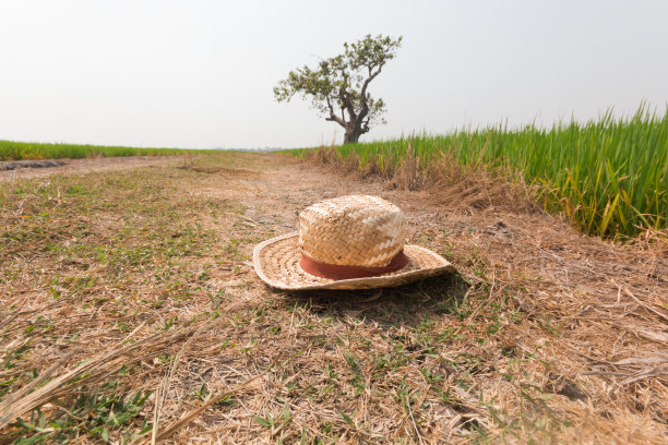 田里中间的地上放着一顶草帽。农业的概念。图片下载