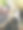 一张漂亮的照片，一只白色的狗有黑色的斑点。图片下载