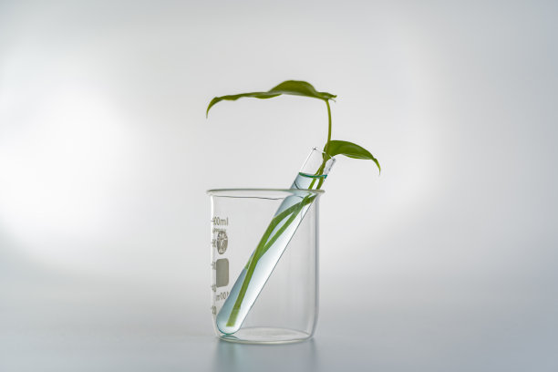 化妆品自然护肤香薰。有机自然科学美容产品。草药替代药物。图片下载