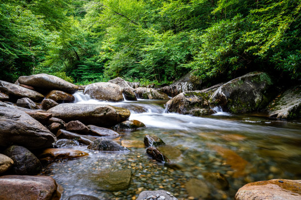 在白天，阿巴拉契亚山脉的森林里有一条美丽的小溪图片下载