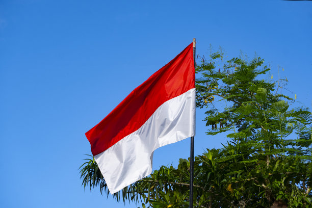 印尼红白相间的国旗迎风飘扬，映衬着湛蓝的天空和大树图片下载