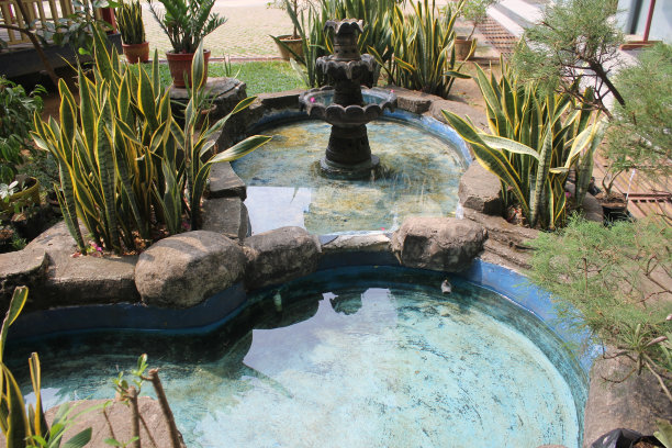 游泳池的水作为装饰在花园里图片下载