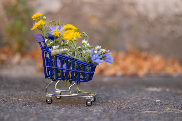 蓝色的篮子里装满了超市的鲜花，在春天的街道上，在马路上特写图片下载