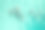 一群海豚在浅水中的鸟瞰图图片下载