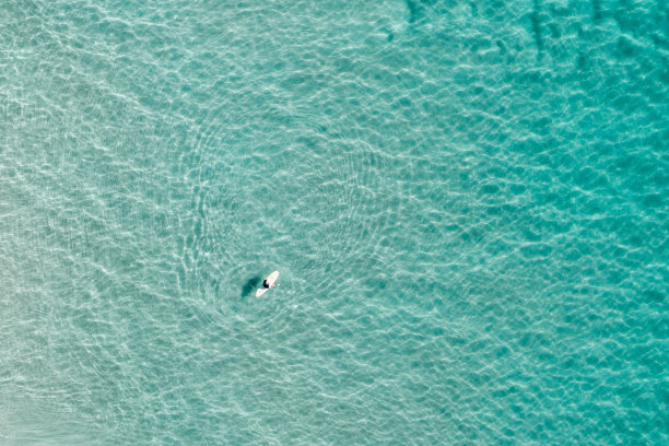 浅水冲浪者的鸟瞰图图片下载