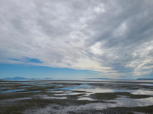 退潮了图片下载