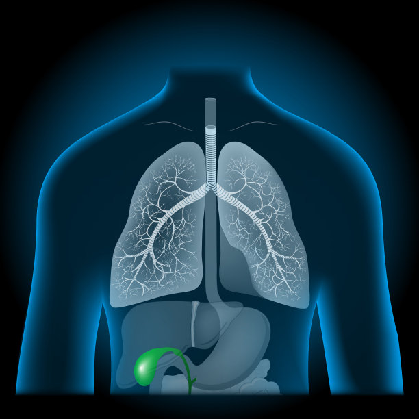 绿色的胆囊变成了逼真的蓝色躯干。图片下载