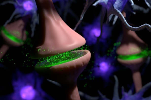 ID: 1454908566

清洁半透明DNA模型图像图片下载