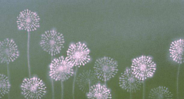 抽象白花画。浪漫的艺术作品。田野里的弗洛拉。图片下载