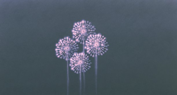 抽象白花画。浪漫的艺术作品。田野里的弗洛拉。图片下载