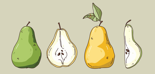 一套梨插图图片下载
