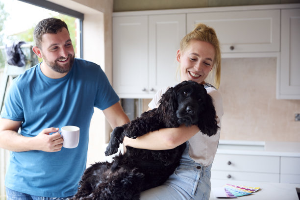 夫妇在家装修厨房，咖啡休息时与宠物西班牙猎犬玩耍图片下载