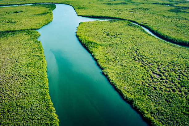 泰国热带河流雨林鸟瞰图图片下载
