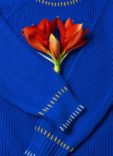 毛衣上的花图片下载