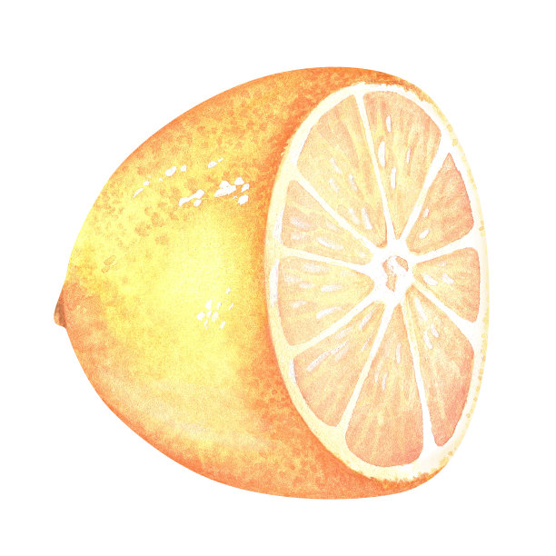 半个柠檬。横截面。水彩插图。孤立在白色背景上。为您的设计贴纸，自然印刷品，产品包装与柑橘酸或气味图片下载