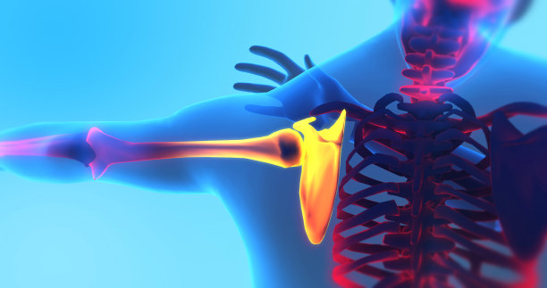 成年男性感到肩膀疼痛。x射线3D插图渲染。图片下载