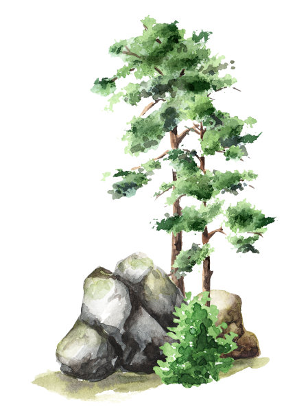 森林景观与岩石和树木。手绘水彩插图孤立的白色背景图片下载