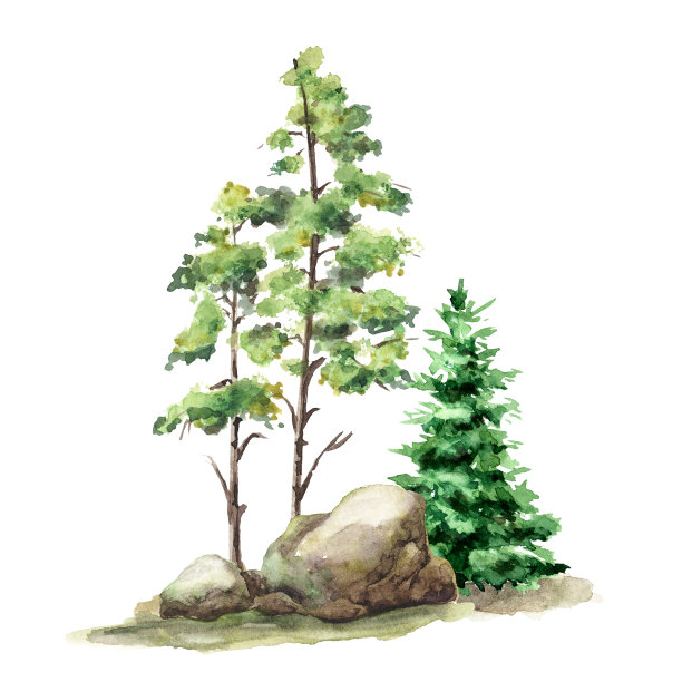 森林景观与岩石和树木。手绘水彩插图孤立的白色背景图片下载