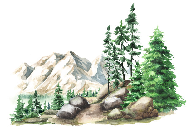 森林和山脉景观。小径之间的岩石和枞树，手绘水彩插图孤立在白色背景图片下载