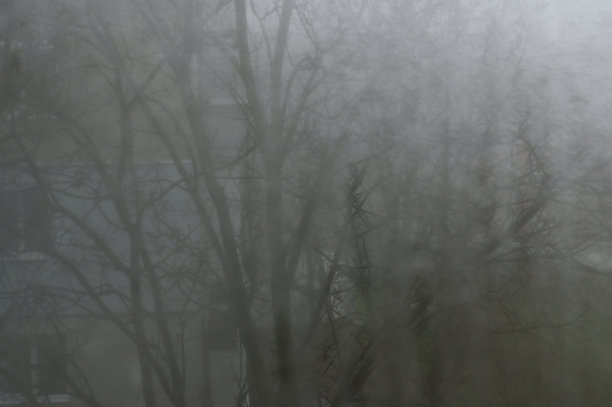 窗外模糊的树木。图片下载