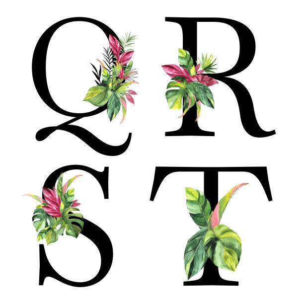字母Q, R, S, T和水彩热带树叶。花卉字母组合为您的设计。图片下载