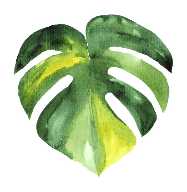 绿色怪兽叶水彩。图片下载