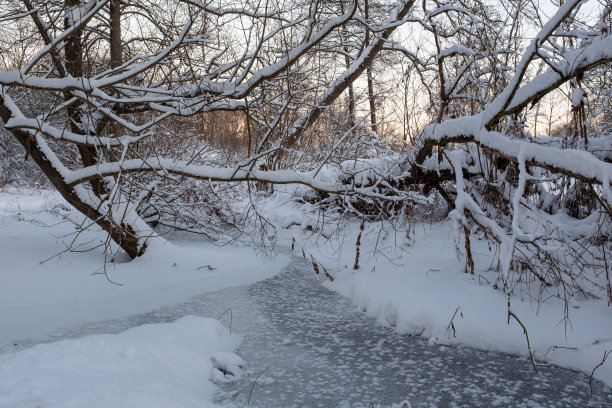 从积雪覆盖的树木和冰冻的溪流景观。冬季森林与小河流的出版物，设计，海报，日历，帖子，屏保，壁纸，卡片，封面。高质量照片图片下载
